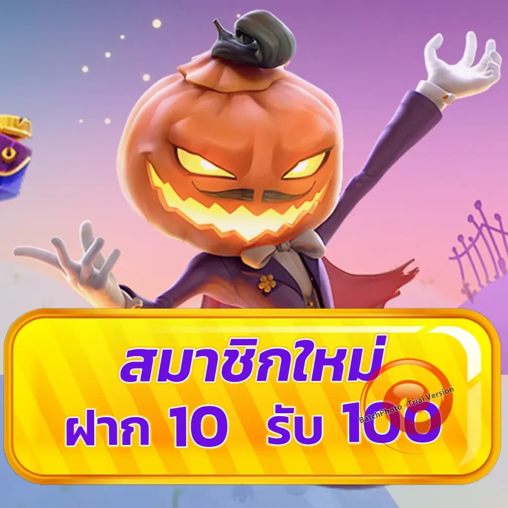 ktv vip ออโต้